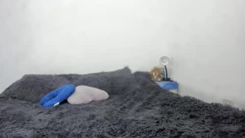 Nathaly online show from September 25, 12:17 am