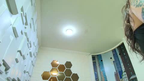 Kitten online show from March 24, 11:05 am