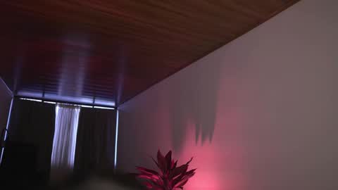 Nefertari online show from February 23, 11:34 am