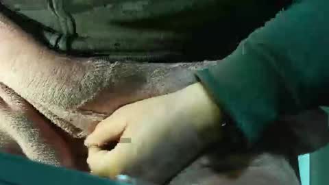 neckk online show from March 17, 9:31 pm