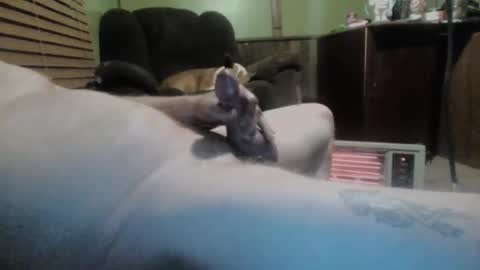 ned is naughty online show from March 11, 7:35 am