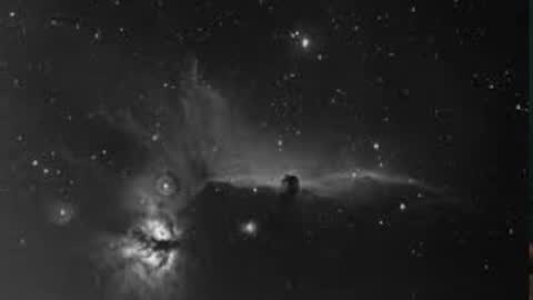 Nei turn green online show from March 31, 2:12 am