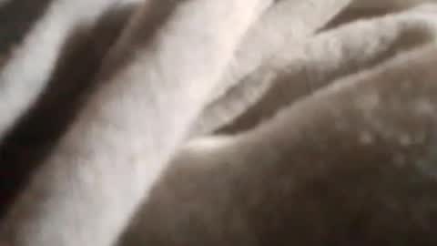 negrett_ online show from June 22, 7:10 pm
