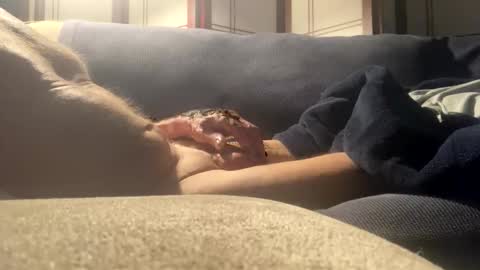 Newgyb12 online show from March 21, 4:51 am