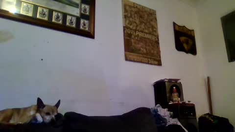 Sexiishaine online show from February 13, 10:00 pm