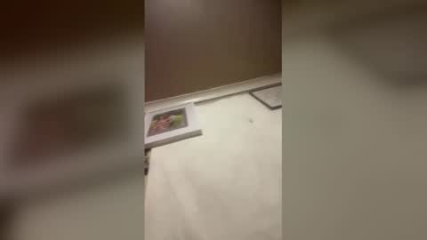 nick22728218 online show from December 15, 8:32 am