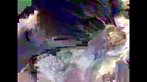 Nickyfruit online show from October 23, 9:55 am