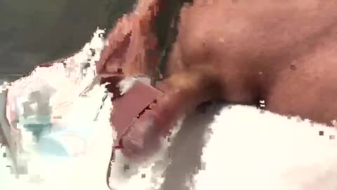 Nico online show from April 12, 3:49 pm