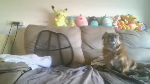 Brian and Logan Brogan online show from September 9, 6:46 am