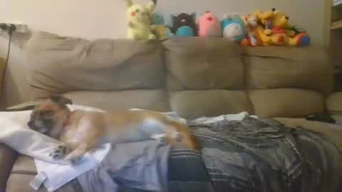 Brian and Logan Brogan online show from October 20, 5:40 pm