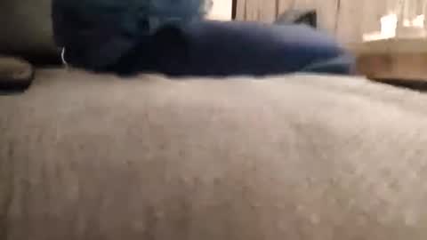 niksdick2121 online show from November 22, 10:07 pm