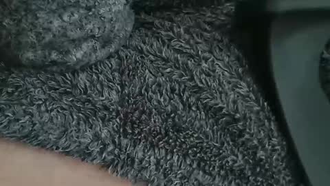 nineinchhard online show from April 9, 9:15 am