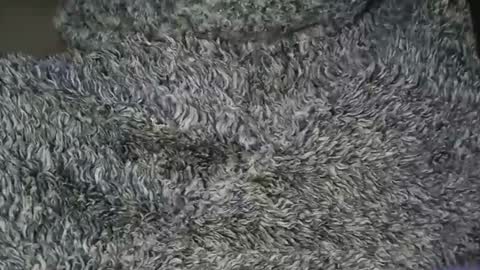 nineinchhard online show from February 1, 12:35 pm