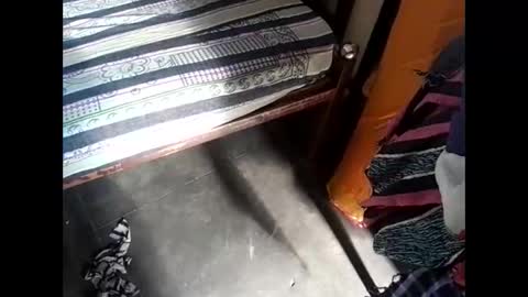 Nisha online show from March 8, 3:17 am