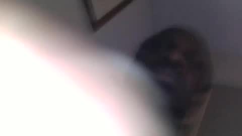 Pleasurenu online show from December 17, 12:34 pm