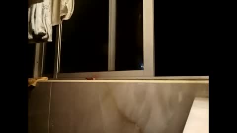 njav77 online show from December 3, 3:29 am