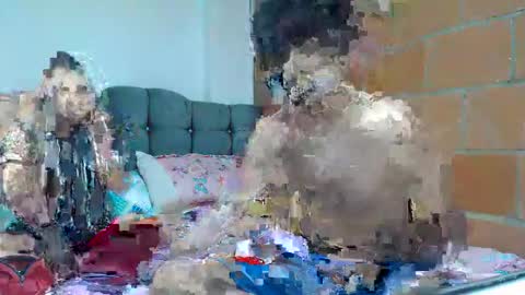 NoaandArez online show from November 21, 9:51 am