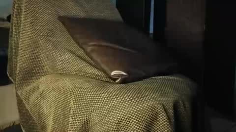 nobudget06 online show from March 28, 2:07 pm