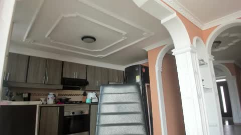  In instagram dayhannanoemi online show from February 28, 1:25 pm