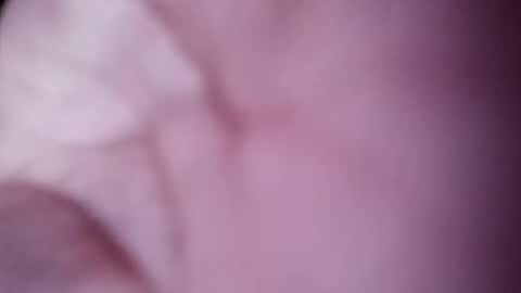 Snapshot of nooby942461 chatting on February 8, 8:42 am sim  nib online show from February 8, 8:42 am