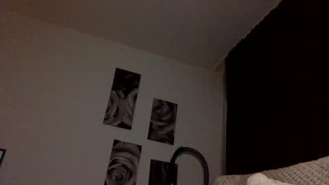 norablues online show from November 21, 8:18 pm