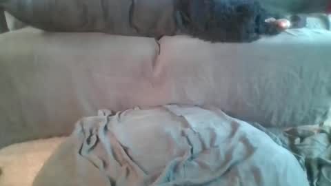 Nova online show from April 19, 6:10 pm