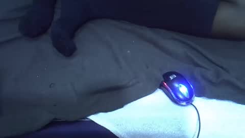 nunu_40 online show from March 4, 8:55 am