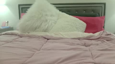 nursekittyslut online show from February 25, 7:31 am