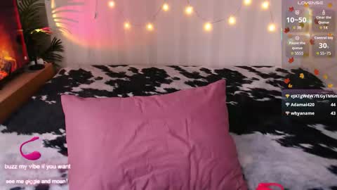 Moonlight online show from November 26, 10:01 am