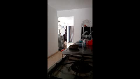 Val online show from March 7, 3:12 pm