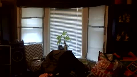 oscar flores online show from February 11, 1:26 pm