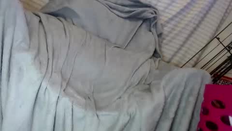 OGDigBick online show from February 1, 2:13 pm