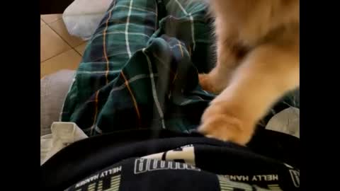 oggs48 online show from October 28, 12:06 pm