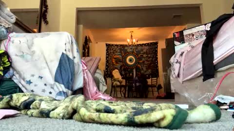 ogtripmushem online show from November 5, 5:26 pm