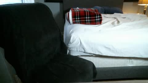 Jungerz online show from July 6, 2:41 am