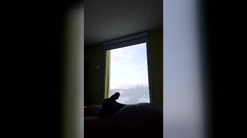 ohyeah215 online show from June 16, 12:25 am