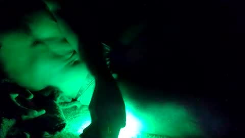 oibrev49 online show from March 21, 9:03 am