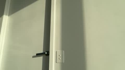 Olivia Brookes online show from November 17, 7:49 pm