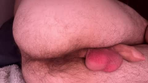 origamicat online show from November 13, 8:33 pm