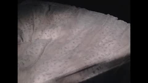 originalcali95 online show from March 10, 1:54 am