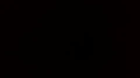 oscarbcncat online show from February 3, 11:03 am