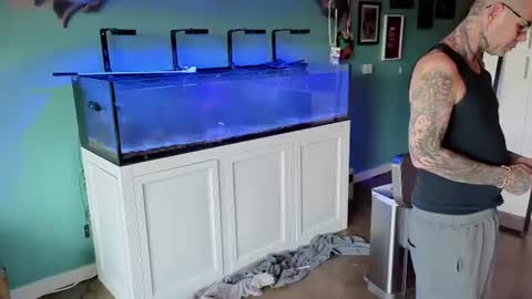 Gabby and Todd online show from August 3, 5:52 pm