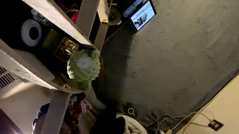 CoCreatorBlancki online show from January 3, 4:22 am