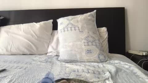 Paradise Bird01 online show from March 24, 3:40 pm