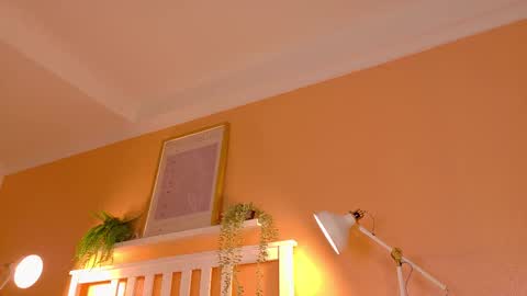 PARIS online show from November 13, 8:33 pm