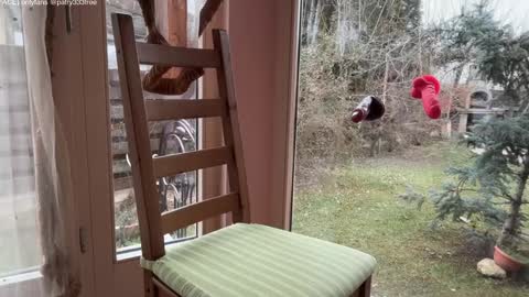 Andreea online show from March 19, 5:57 am