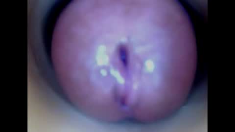 Paula 18 Aninhos online show from March 17, 5:45 am