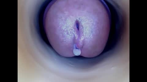 Snapshot of paulainoscente chatting on February 19, 7:37 pm Paula 18 Aninhos online show from February 19, 7:37 pm