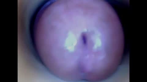 Snapshot of paulainoscente chatting on February 14, 4:52 pm Paula 18 Aninhos online show from February 14, 4:52 pm