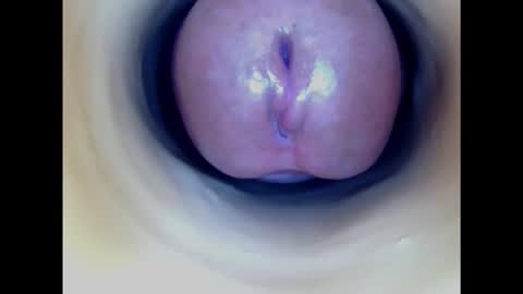 Snapshot of paulainoscente chatting on February 26, 10:47 pm Paula 18 Aninhos online show from February 26, 10:47 pm